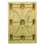 32 x 48 Molded Wood Pallet - Litco Inca IE114832 OWS PW-S-3248-NX Standing Top HeadOn